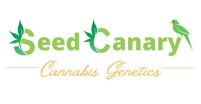 Seed Canary Genetics