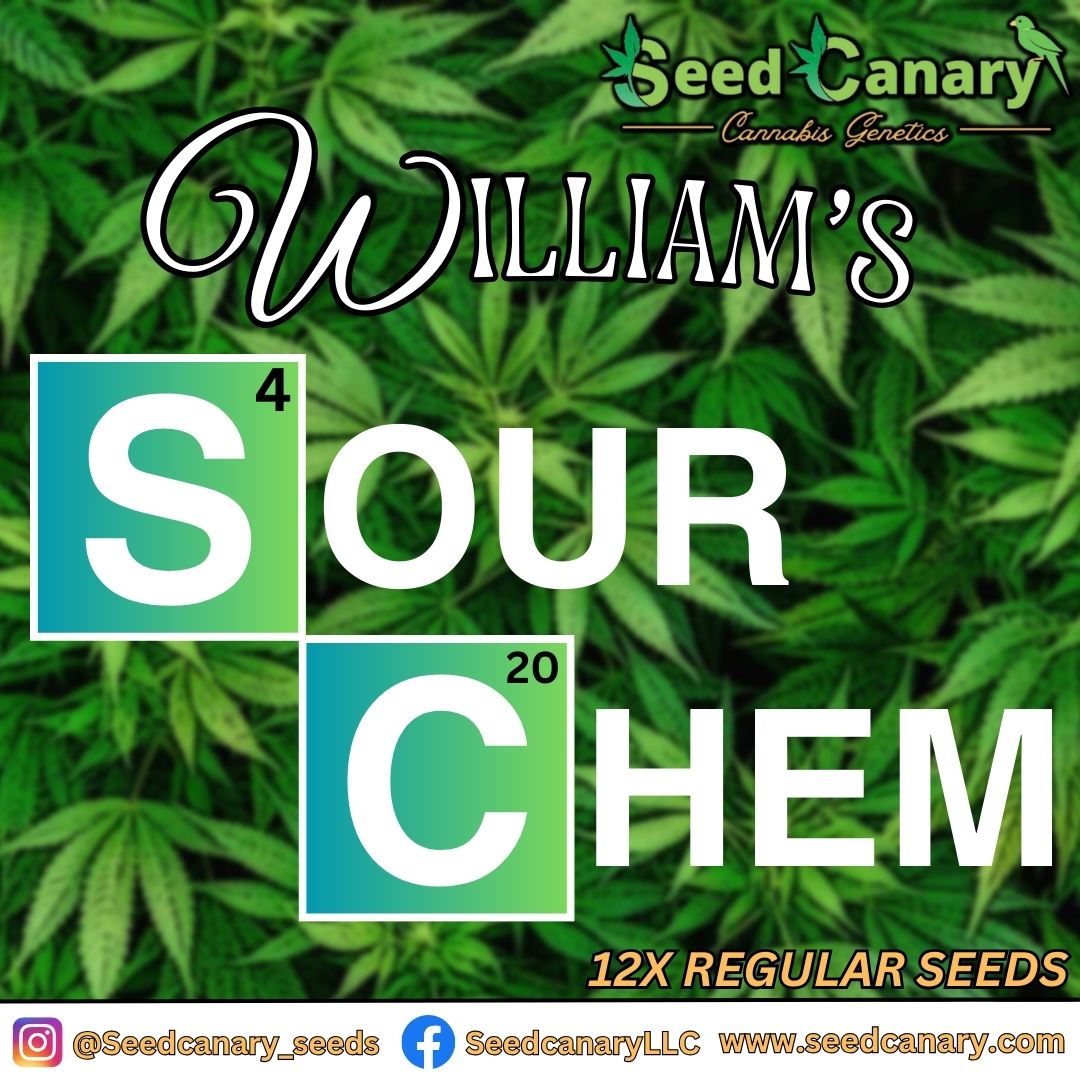 William's Sour Chem - 12x Regular Seeds
