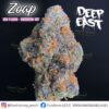 Zoap (Deo Farms Cut) - Cannabis Clone