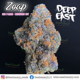 Zoap (Deo Farms Cut) - Cannabis Clone