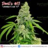 '"Devil''s #13 - Cannabis Clone"'