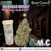 Garlic Miracle Candy - Feminized Seeds