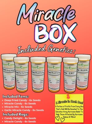 Miracle Box  - Cannabis Seed Collection