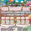 The Candy Box  - Cannabis Seed Collection
