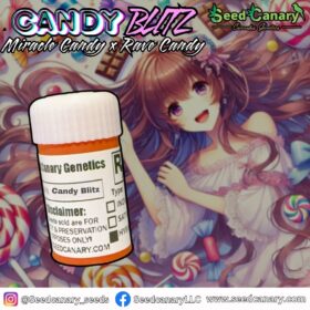 Candy Blitz – Regular Seeds