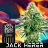 Jack Herer - THCA Flower Pre-Rolls