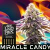 Miracle Candy - THCA Flower Pre-Rolls