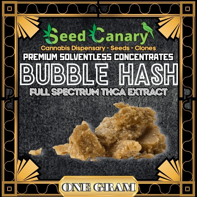 Premium THCA Bubble Hash | Peanut Butter Breath (1G)